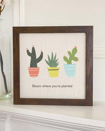 Bloom Where You're Planted (Cactus) - Framed Sign