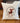 Moose Badge - Square Canvas Pillow