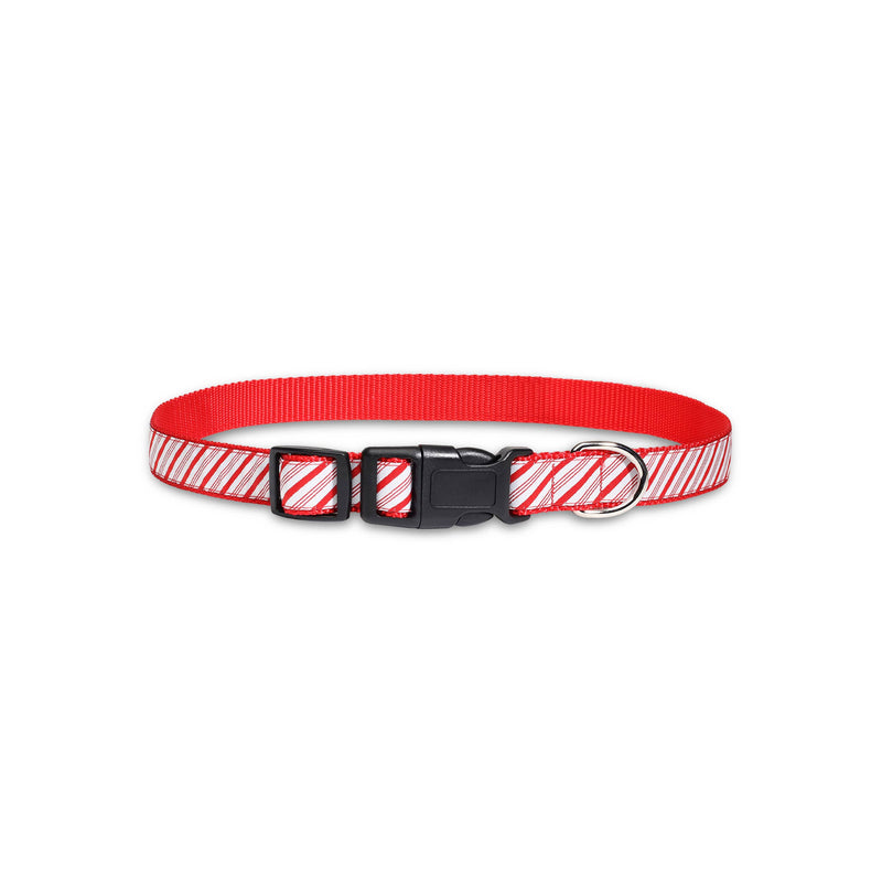 Candy Cane Stripe - Dog Collar