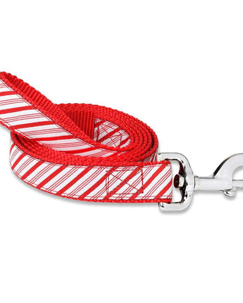 Candy Cane Stripe - Dog Leash
