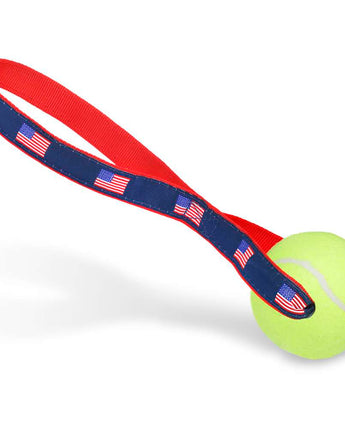 American Flag - Tennis Ball Toss Toy