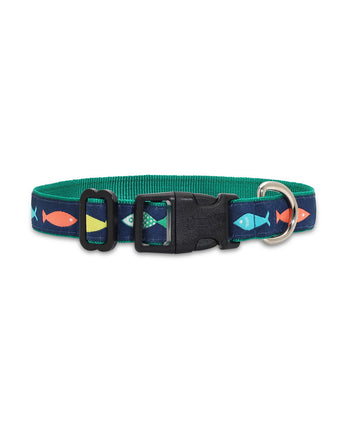 Funky Fish - Dog Collar