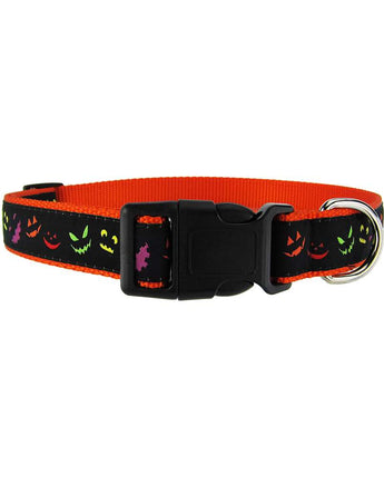 Jack O' Lantern  - Dog Collar