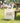 Land of the Free & Home of the Brave - Canvas Tote Bag