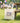 Stars & Stripes - 1776 - Canvas Tote Bag