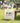 Home Sweet Home State - Custom Canvas Tote Bag
