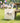 Liberty Since 1776 - Canvas Tote Bag