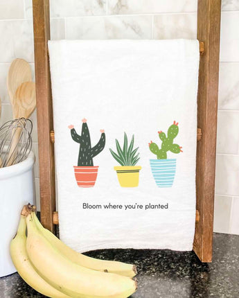 Bloom Where You're Planted (Cactus) - Cotton Tea Towel