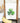Shamrock - Cotton Tea Towel