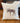 Watercolor Moose - Square Canvas Pillow