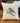 Eastern Bluebird on Branch - Oil Paint - Square Canvas Pillow