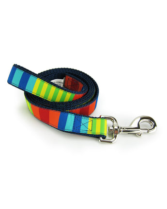 Party Stripes - Dog Leash