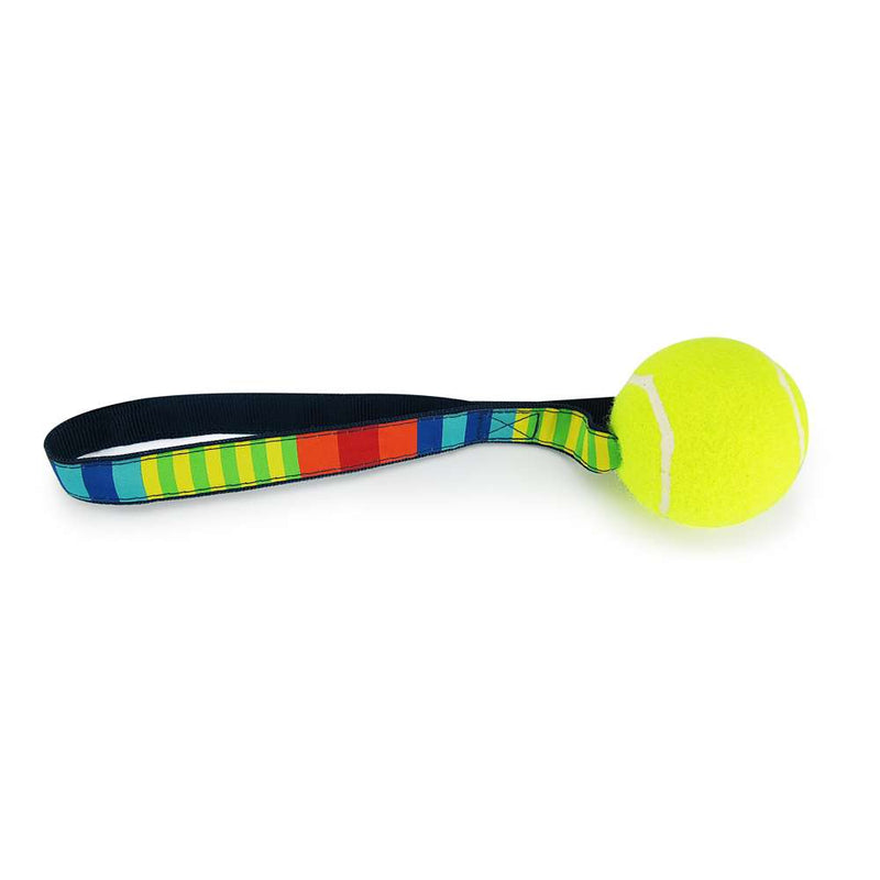 Party Stripes - Tennis Ball Toss Toy
