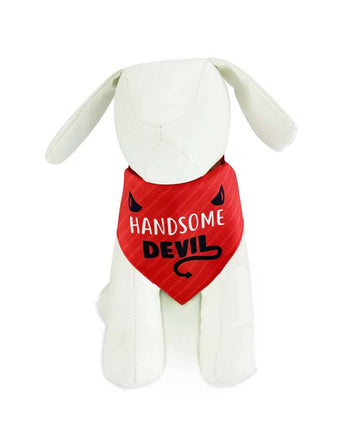 Handsome Devil - Pet Bandana