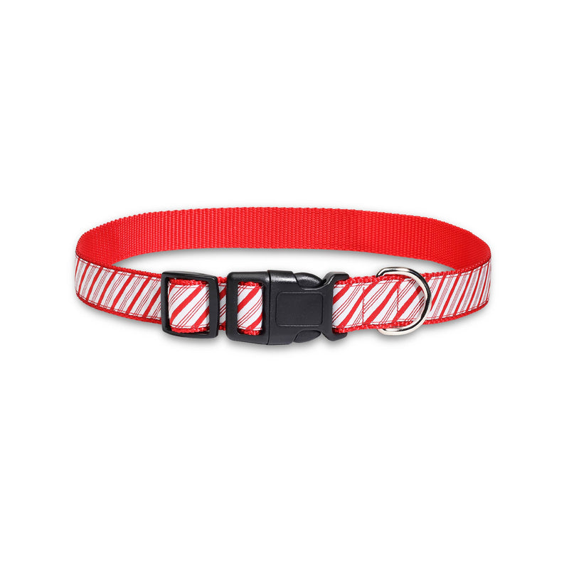 Candy Cane Stripe - Dog Collar